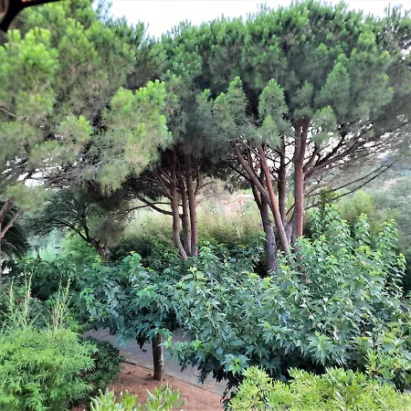 Sur T3-160 M - 800 M Centre-ville. Park Apartment Cavalaire-sur-Mer